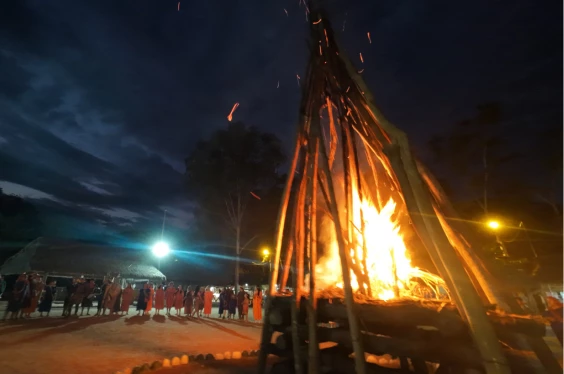 Selva Central Mágica