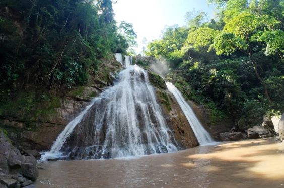 Selva Central Tradicional