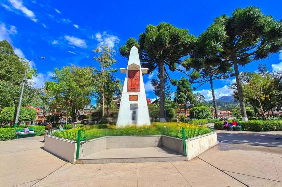 Selva Central Tradicional