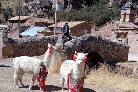 Huancavelica Histórica 