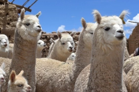 Experiencias en Privado