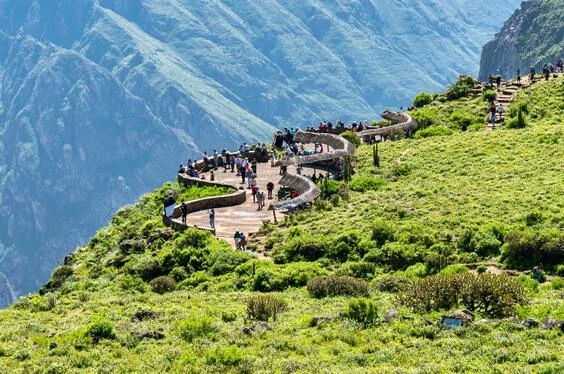 Colca Discover