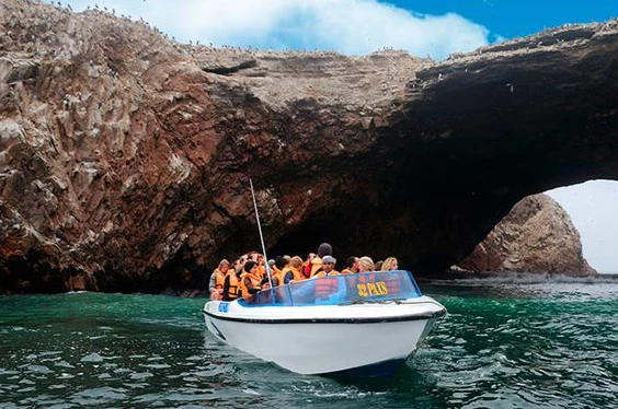 Ica y Paracas: la magia del desierto y el mar