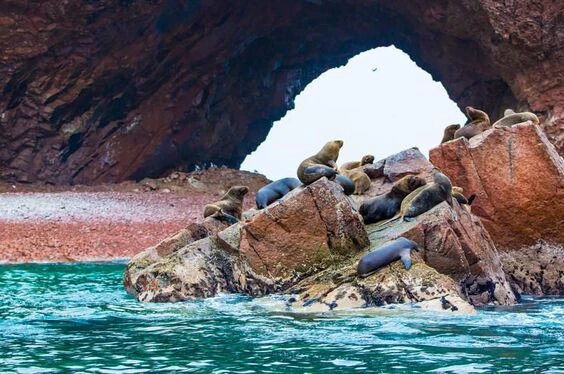 Ica y Paracas: la magia del desierto y el mar