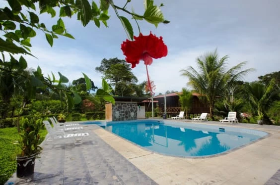 Pernocta en la selva Sur 