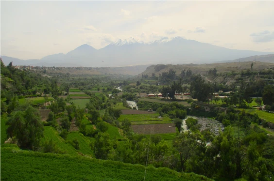 Entre Volcanes y Campiña