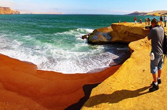 Full day  Paracas - Huacachina,  del Mar al Desierto