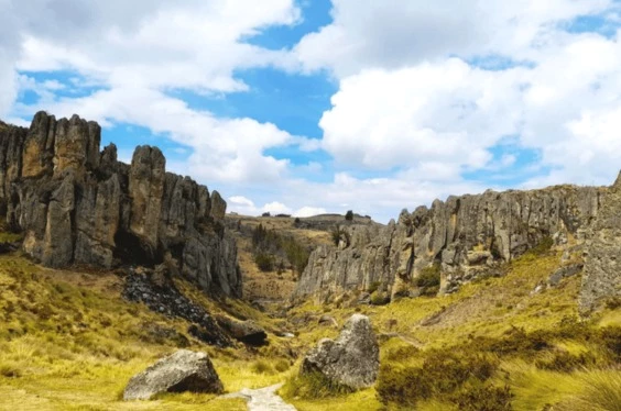 Cajamarca Clásica 3D