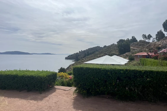 Puno Tradicional Glamuroso