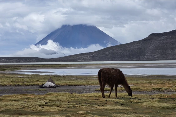 Arequipa a tu alcance