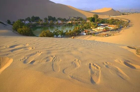 Ica - Paracas, la Magia del desierto y el mar
