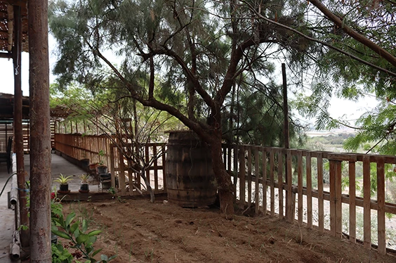 Chiribaya, Cultura & Gastronomía