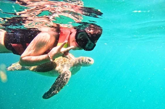 Aventuras con Ballenas en Piura y Tumbes