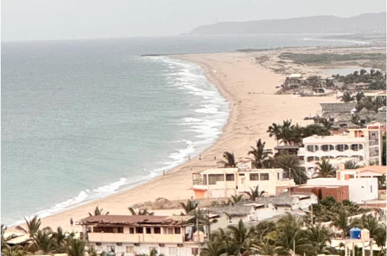 Tortugas & Manglares