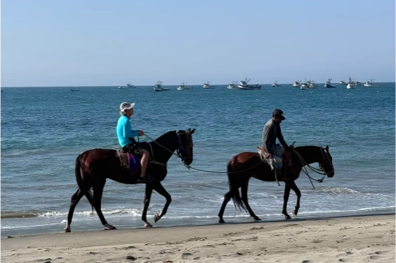 Disfruta del Norte: Máncora y Tumbes