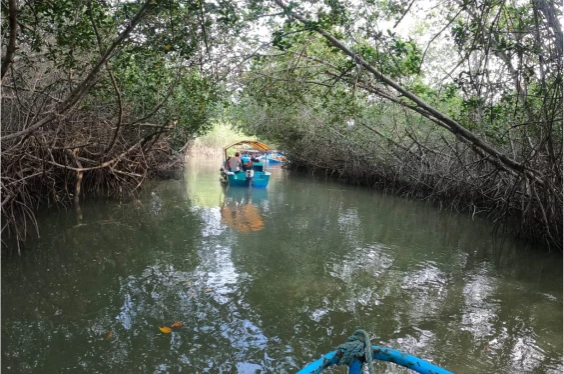Disfruta del Norte: Máncora y Tumbes