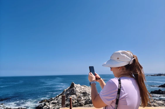 Explora Punta Coles: Naturaleza y Fauna en Ilo