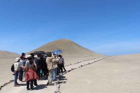 Explora Punta Coles: Naturaleza y Fauna en Ilo