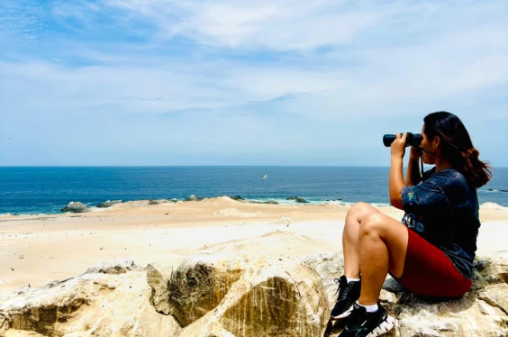 Explora Punta Coles: Naturaleza y Fauna en Ilo