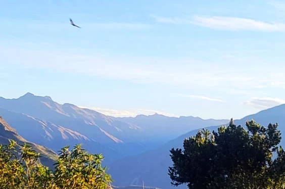 Curahuasi Vivencial