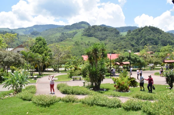 Selva Central, naturaleza, culturas e historia