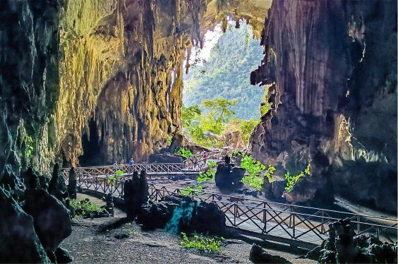 Tingo María Para Todos