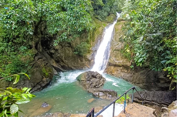 Tingo María Para Todos