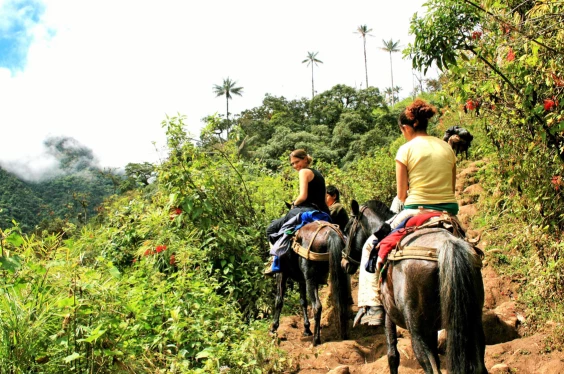 Trekking Gran Vilaya 