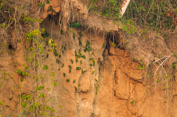 Aventura Tropical en Madre de Dios