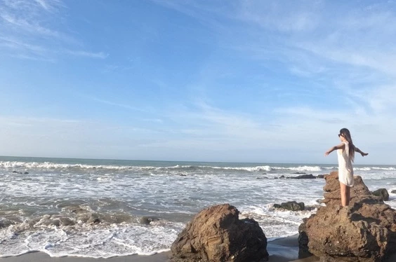 Vive el Norte: Playas, Manglares y Tortugas