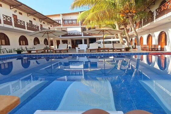 Vive el Norte: Playas, Manglares y Tortugas