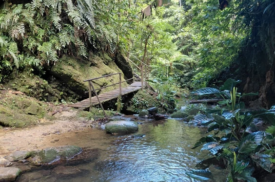 4 días de Pura Vida