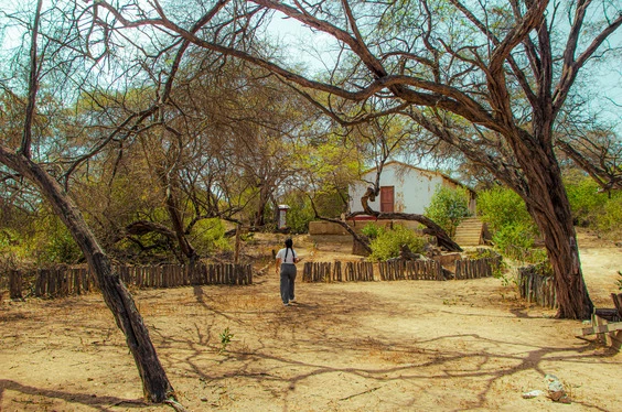 Ruta del Nectar Mochica
