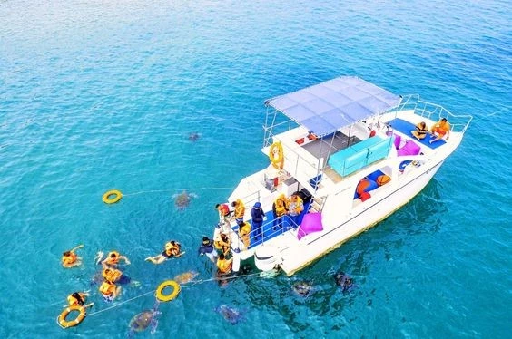 Tortugas y aventuras en catamarán turístico