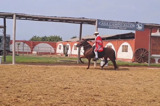 Trujillo Full Day | Chan Chan y Huaca de la Luna