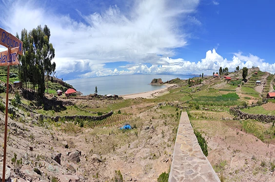 Vive candelaria de noche