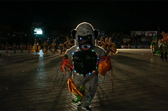 Vive candelaria de noche