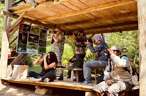 Avistamiento de Colibríes (ACONABIKH)