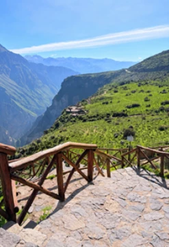 Cañón del Colca Inolvidable