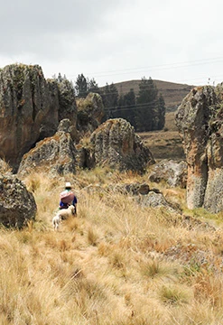 Ruta Nororiental: Trujillo y Cajamarca deluxe