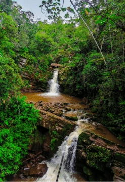 Selva Central Herencia