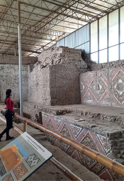 Full day y show de caballos