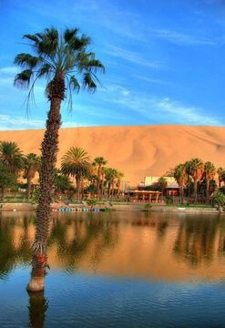 Ica y Paracas: la magia del desierto y el mar