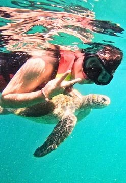 Tortugas y Aventuras en Mancora