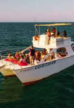 Tortugas y aventuras en catamarán turístico