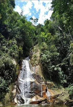 Tarapoto Fiestas Patrias
