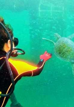 Bautizo sub marino con Snuba en los Órganos 