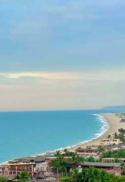 Tortugas & Manglares