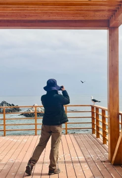 Explora Punta Coles: Naturaleza y Fauna en Ilo