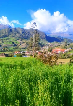 Curahuasi Natural